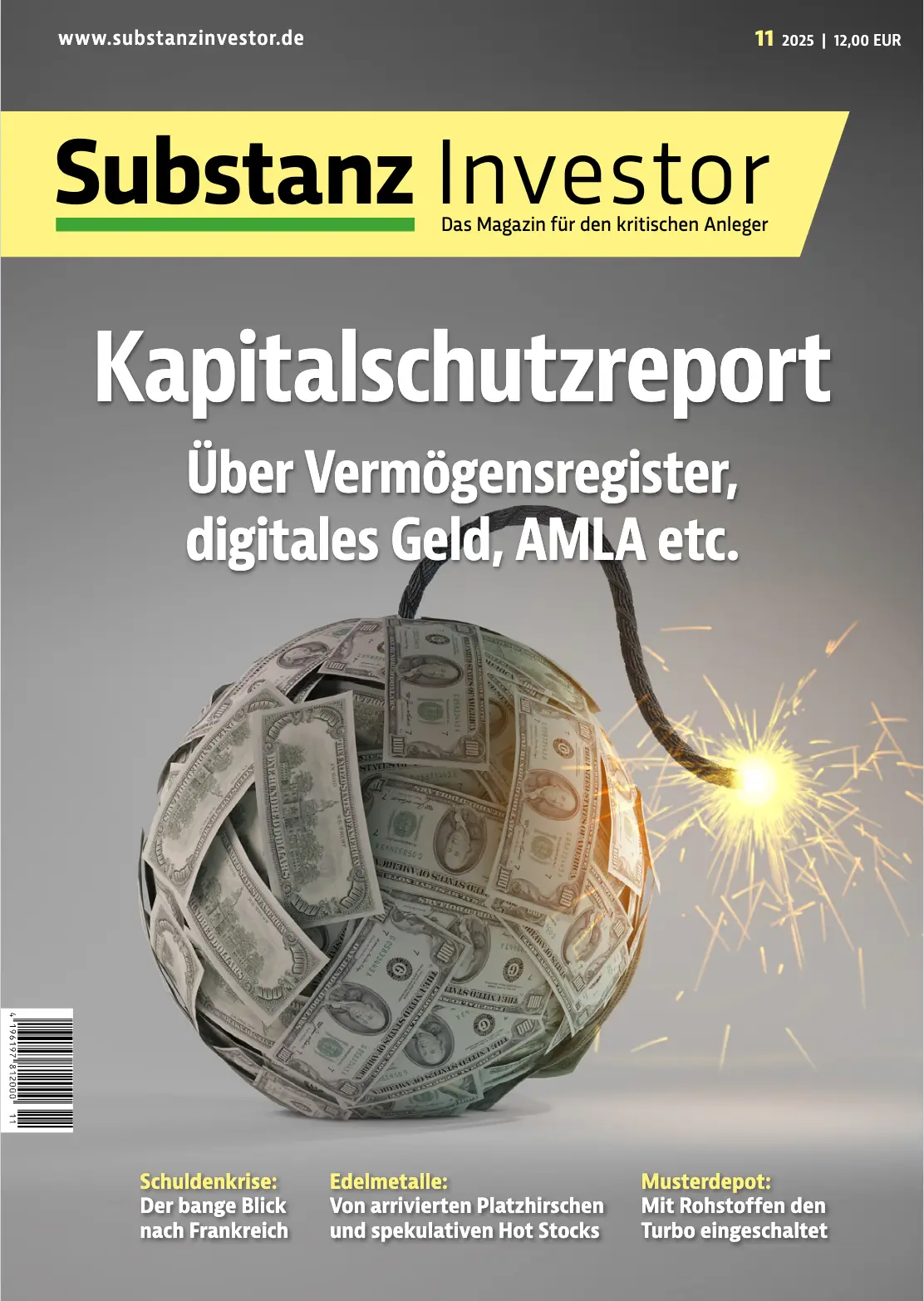 Cover Substanz Investor 11-25